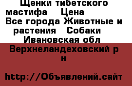 Щенки тибетского мастифа. › Цена ­ 30 000 - Все города Животные и растения » Собаки   . Ивановская обл.,Верхнеландеховский р-н